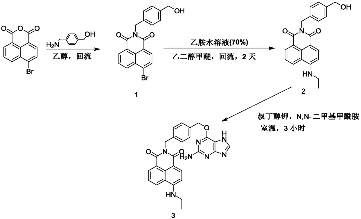 Small-molecular fluorescent probe for SNAP protein labeling as well as synthesis method and application of small-molecular fluorescent probe