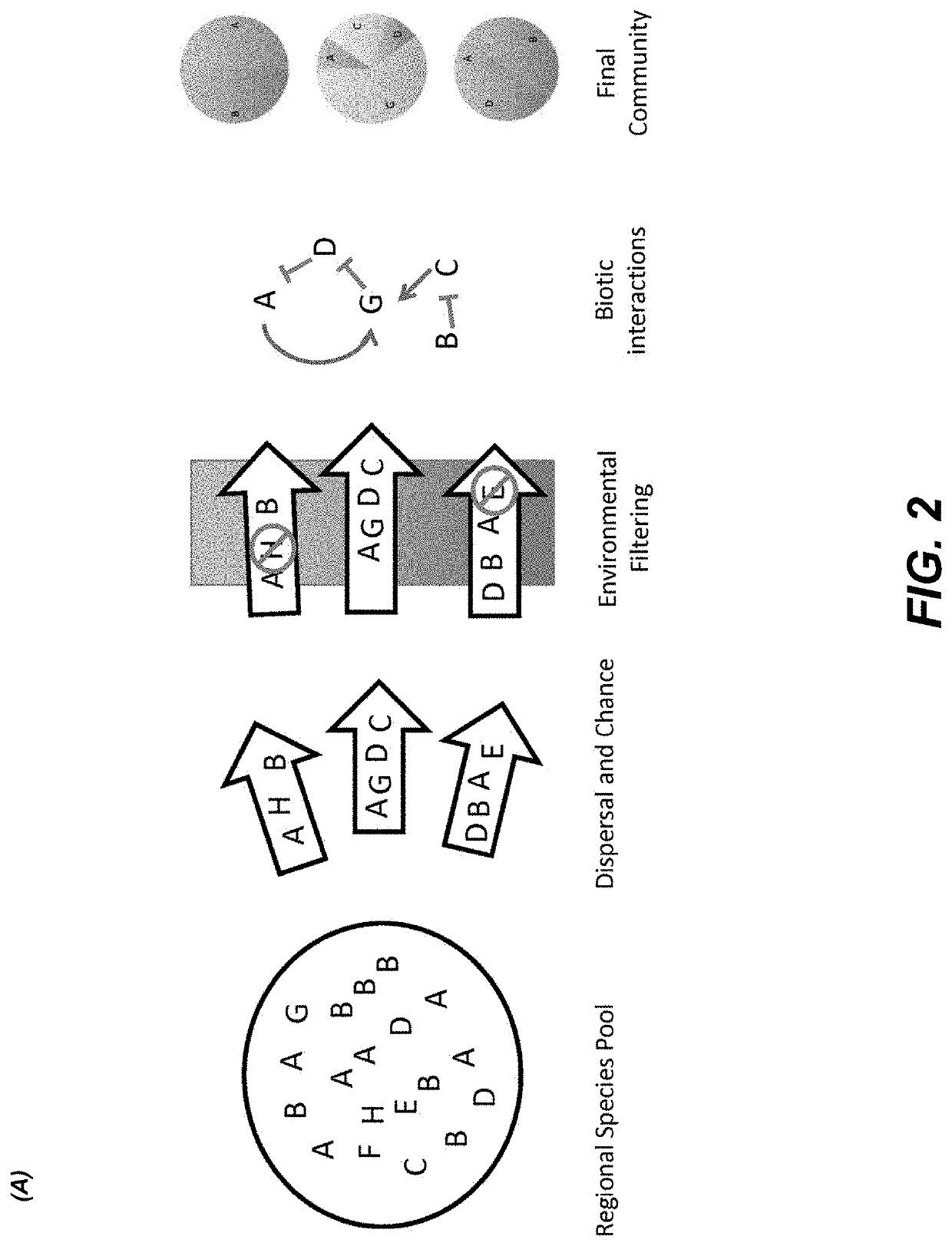 Methods for identifying interactions amongst microorganisms