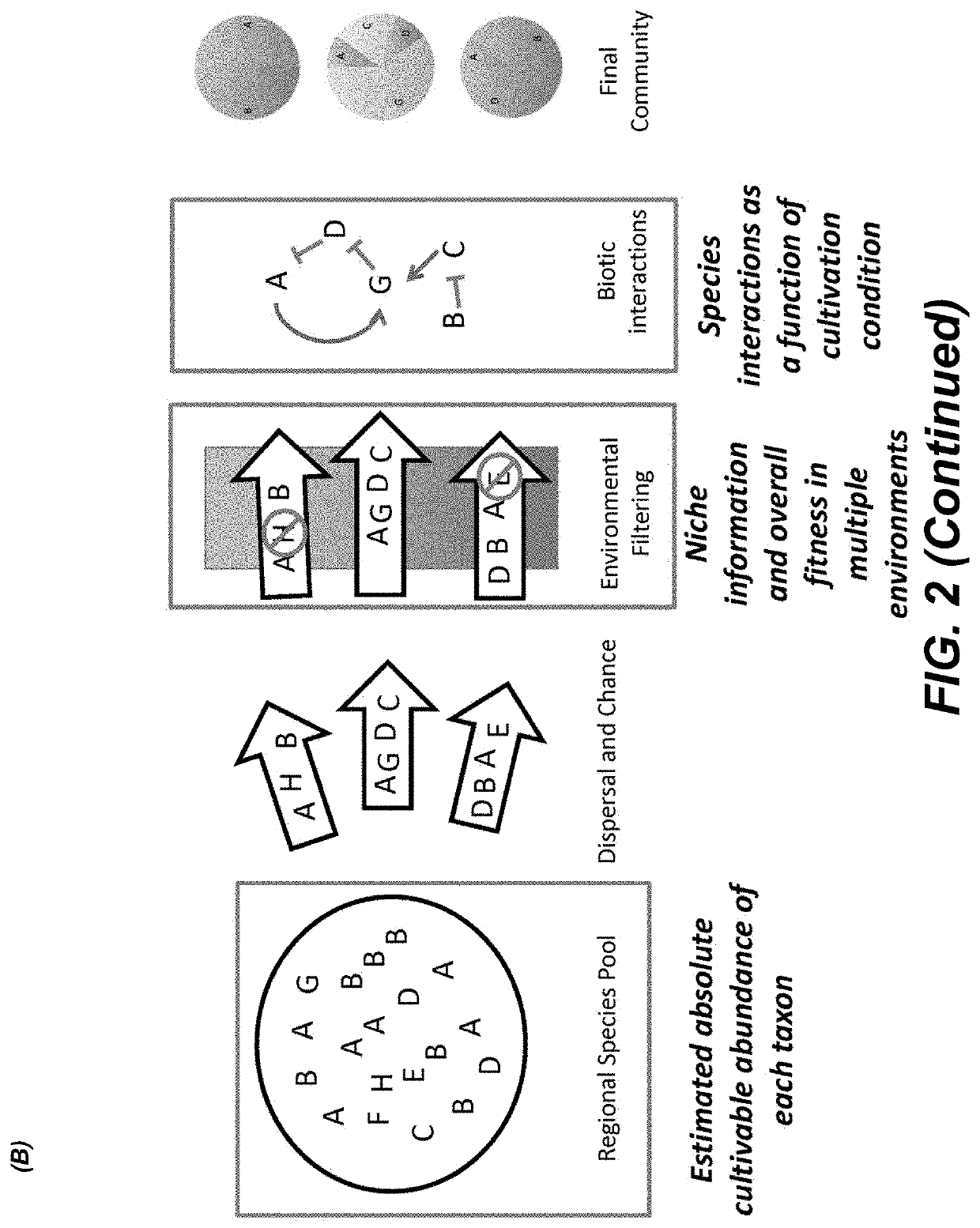 Methods for identifying interactions amongst microorganisms