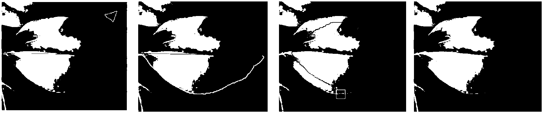 Self-adaptive robust constraint maximum variation mapping (CMVM) feature dimension reduction method for image retrieval of plant laminae