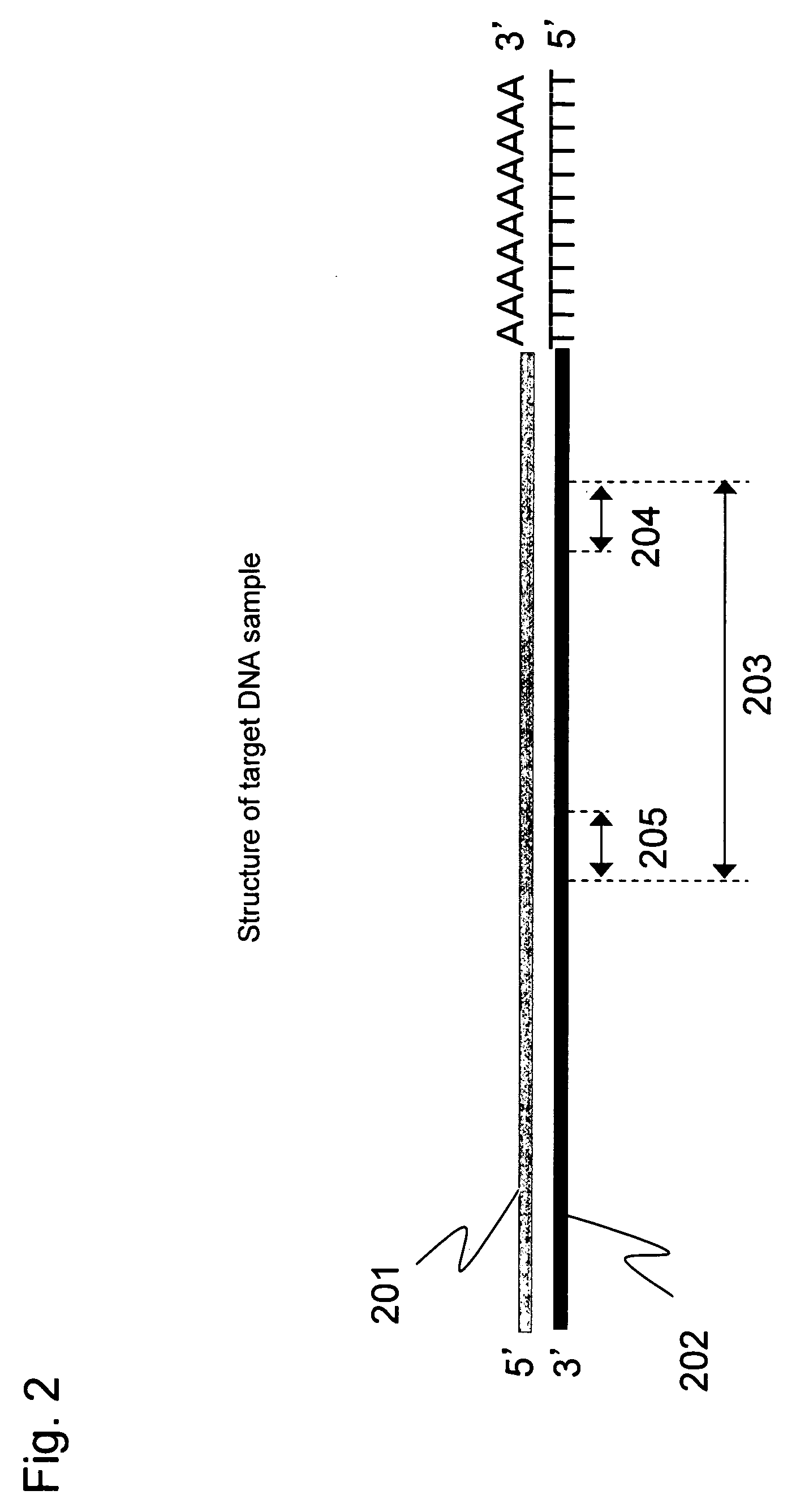 Method for nucleic acid quantitation