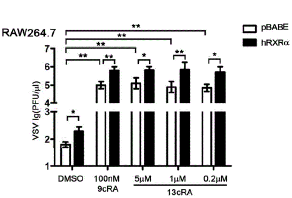 Application of RXR (Retinoid X receptor) in preparing medicine for treatment of vesicular stomatitis virus