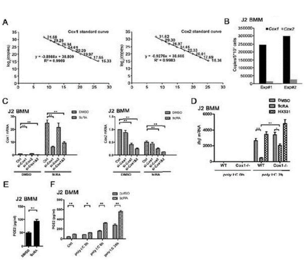 Application of RXR (Retinoid X receptor) in preparing medicine for treatment of vesicular stomatitis virus