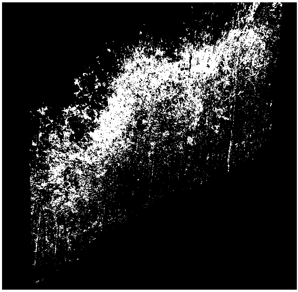 An automatic calculation method of tree diameter at breast height based on ground lidar scanning