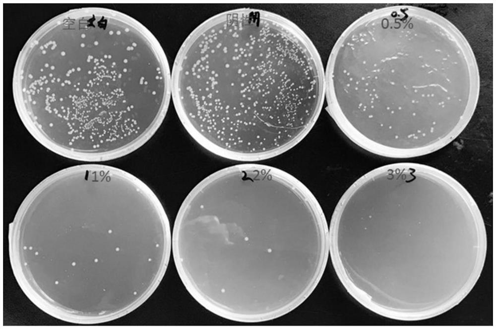 A kind of grafted antibacterial polypropylene and its preparation process