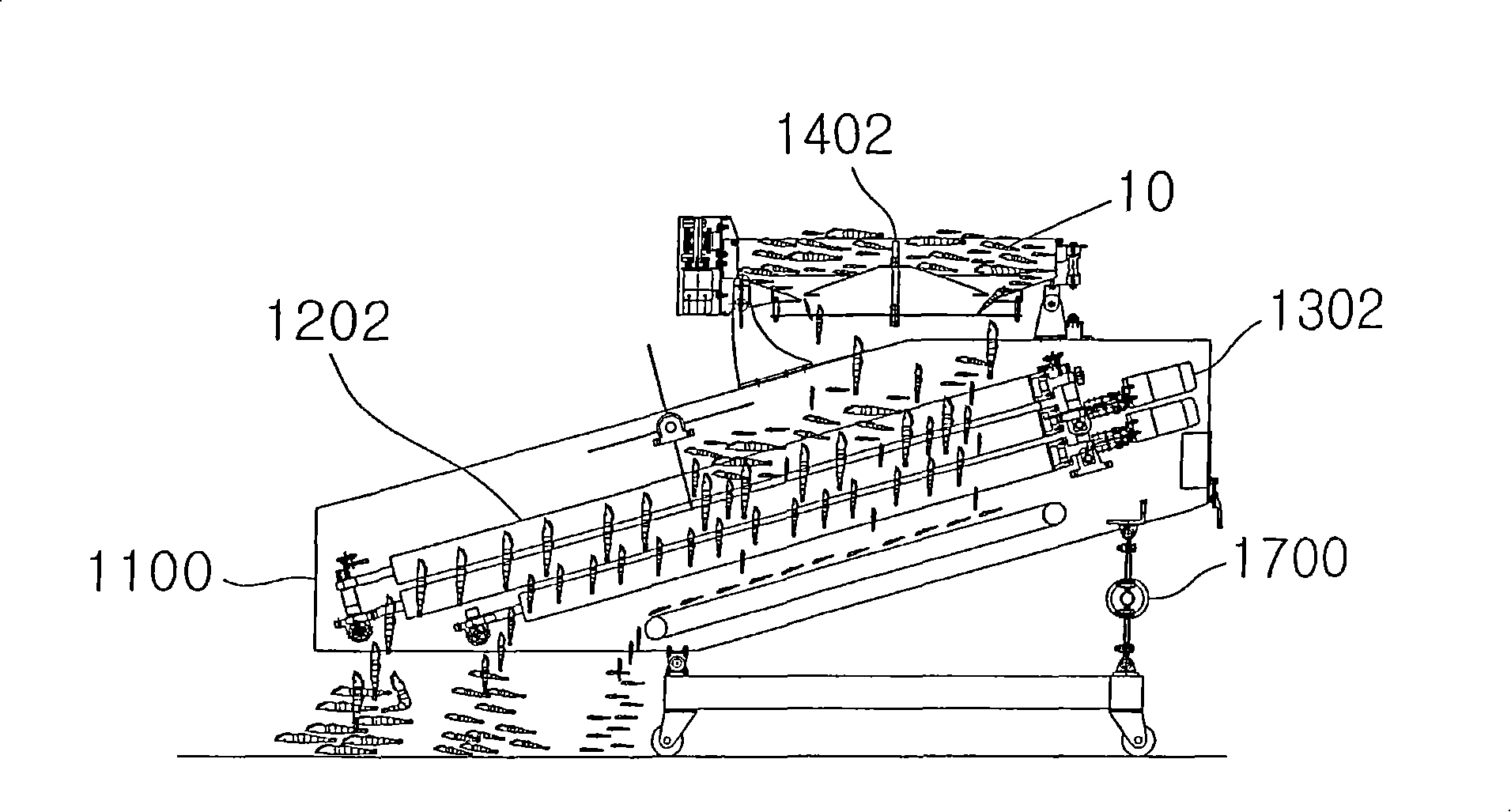 Fish sizer