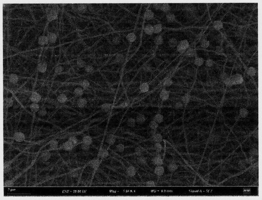 Preparation method of MOF/aramid nanofiber modified Nafion proton exchange membrane with beaded structure for fuel cell