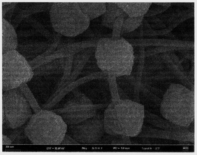 Preparation method of MOF/aramid nanofiber modified Nafion proton exchange membrane with beaded structure for fuel cell