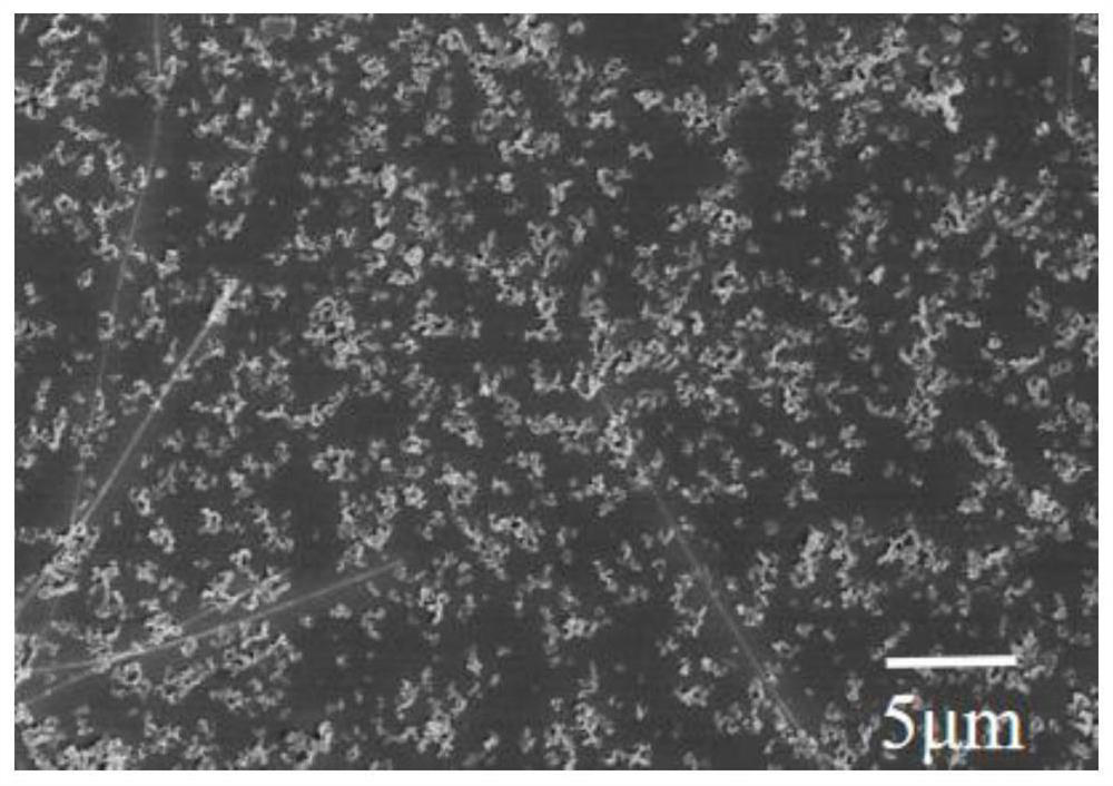 Preparation method of super-hydrophobic anti-static transparent coating