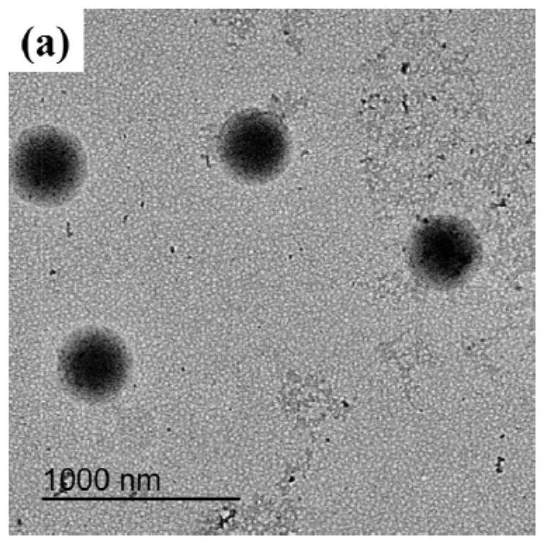 Preparation method of photoresponse self-repairing fluorine-containing polyacrylate soap-free emulsion