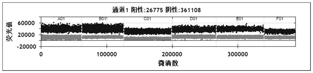 Primer probe for detecting breast cancer recurrence and metastasis gene HER2 amplification and application thereof