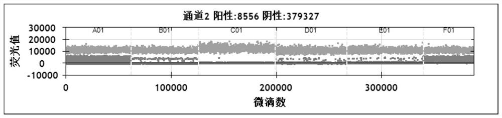 Primer probe for detecting breast cancer recurrence and metastasis gene HER2 amplification and application thereof