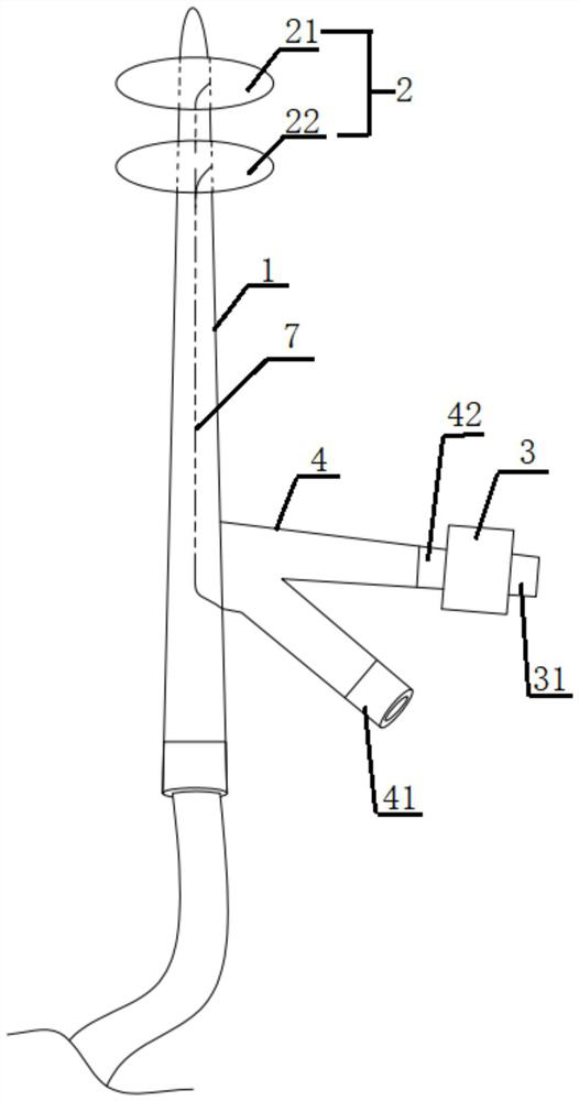 Double-airbag anti-traction protection type catheter