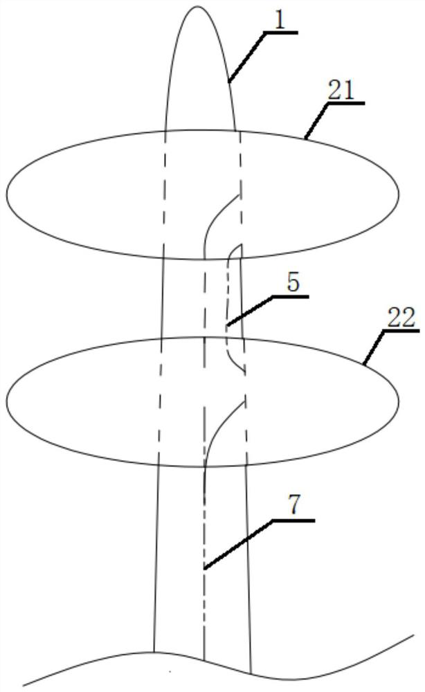 Double-airbag anti-traction protection type catheter