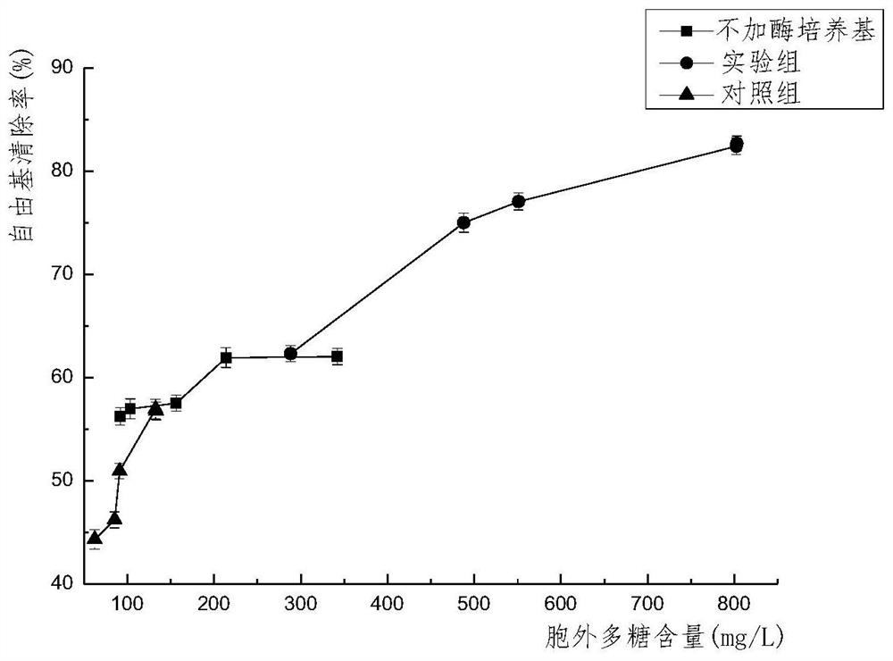 An anti-oxidant moisturizing essence rich in fermented products of Vitella hyaline, its preparation method and application