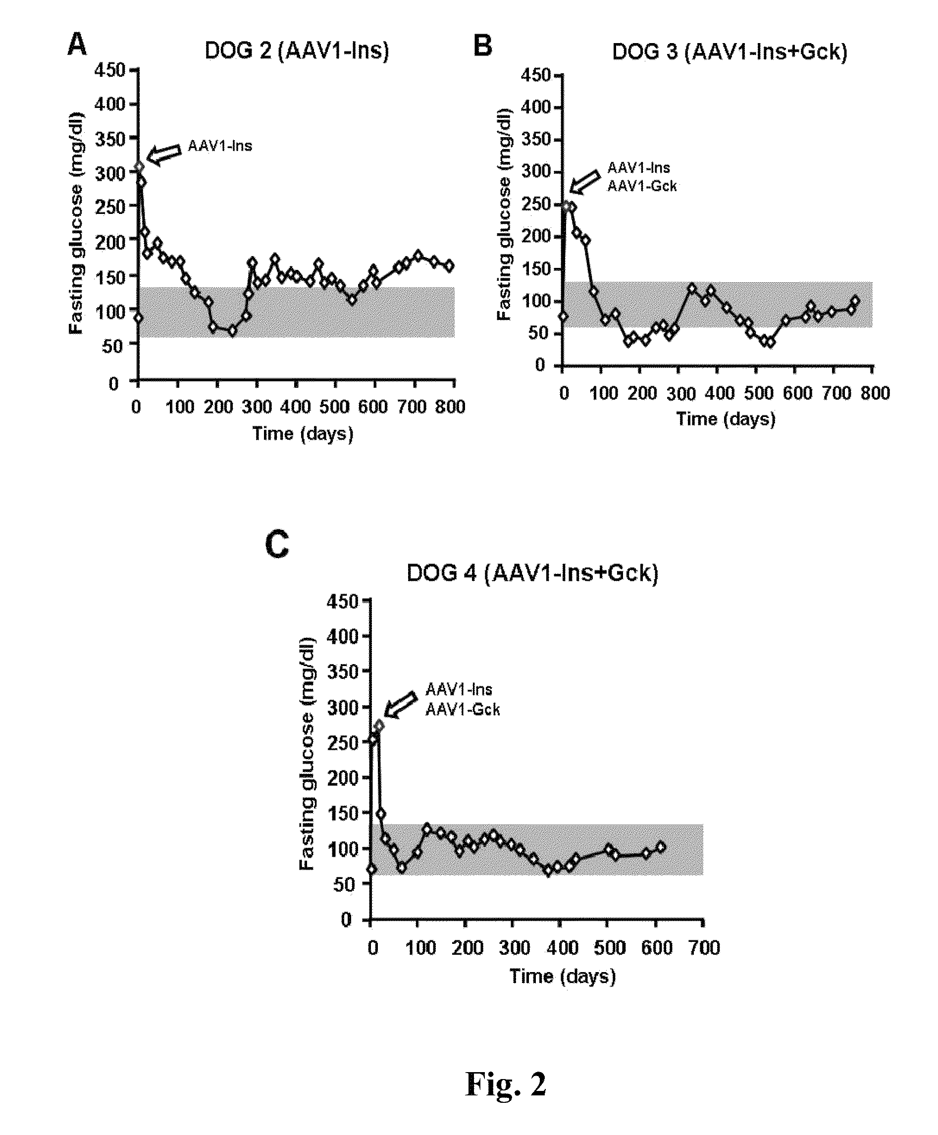 Gene therapy composition for use in diabetes treatment