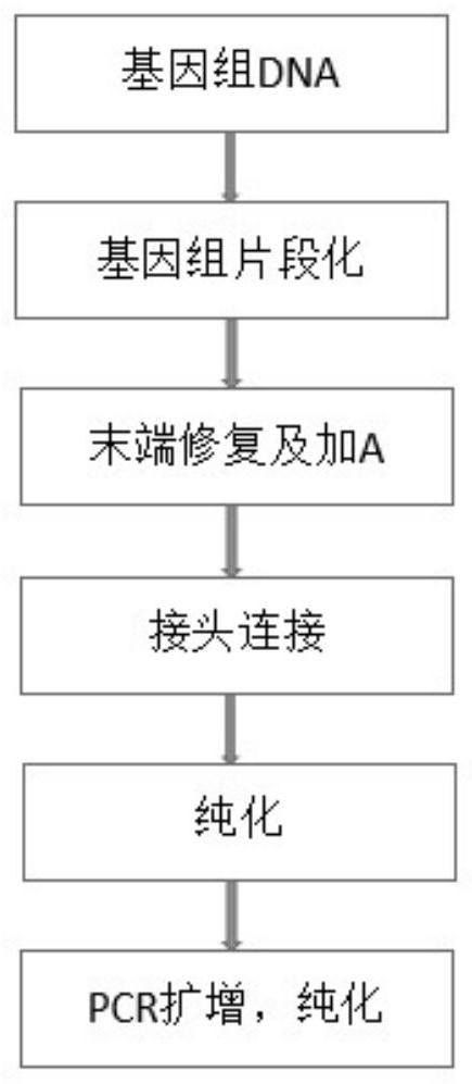 Next-generation sequencing library building kit and method for improving library conversion rate