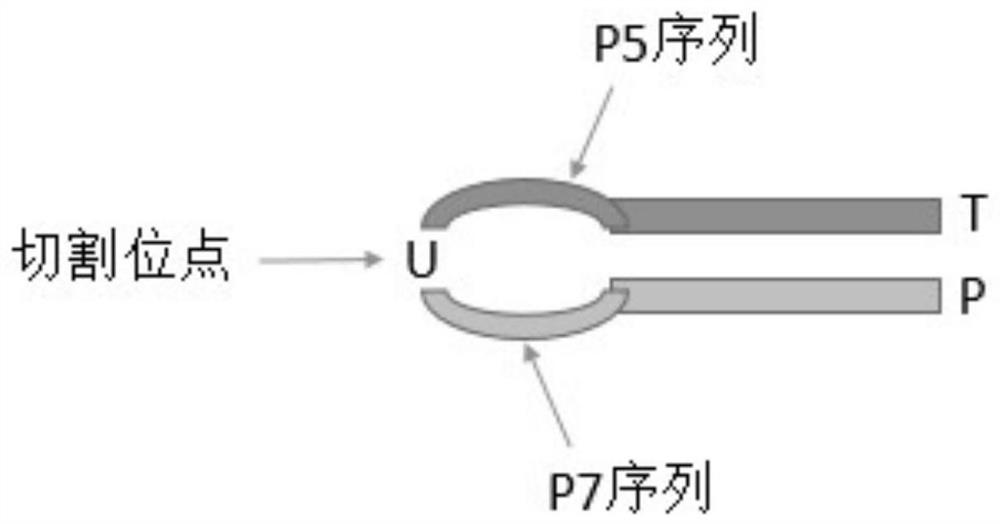 Next-generation sequencing library building kit and method for improving library conversion rate