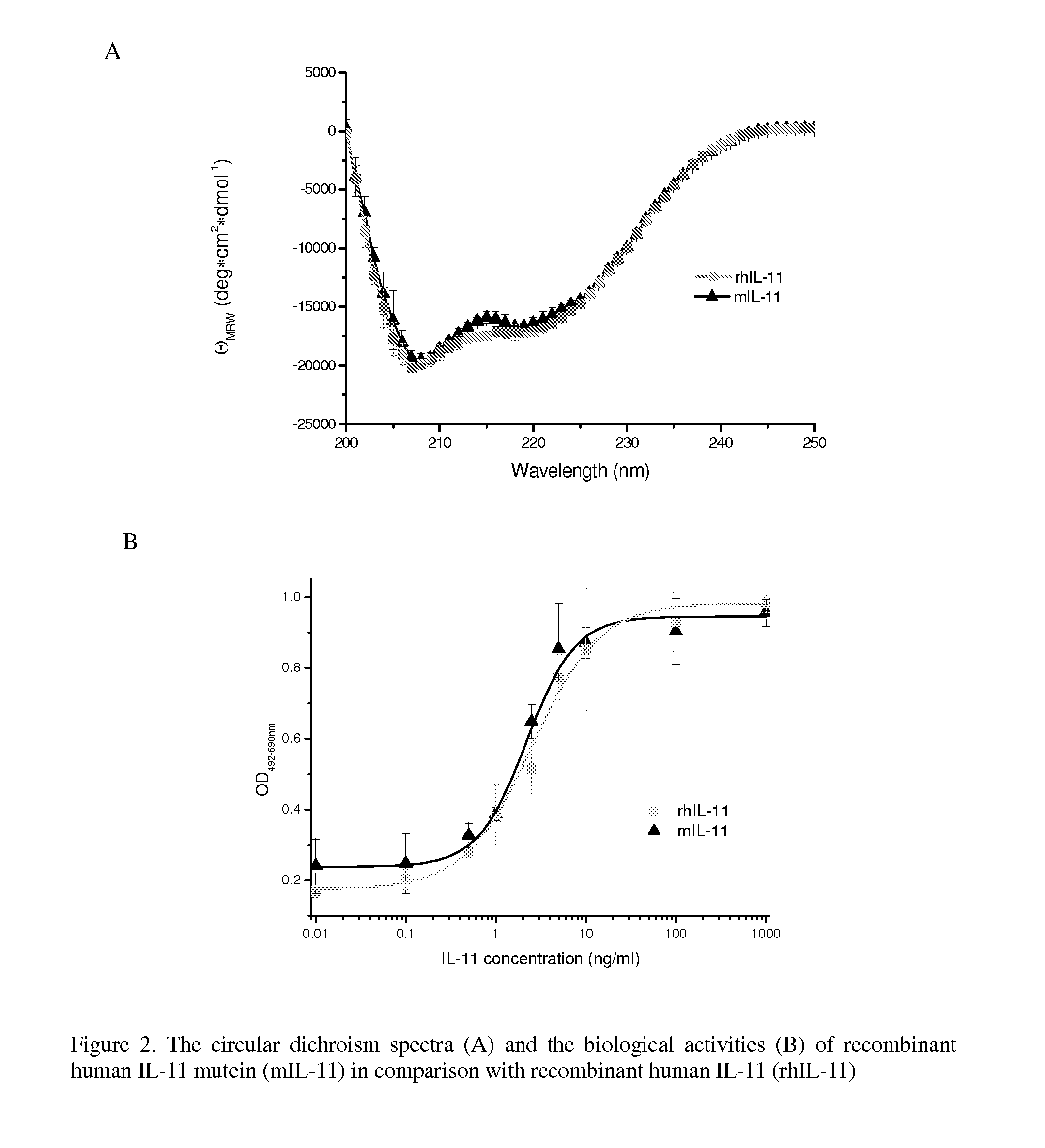 Biopolymer Conjugates Comprising an Interleukin-11 Analog