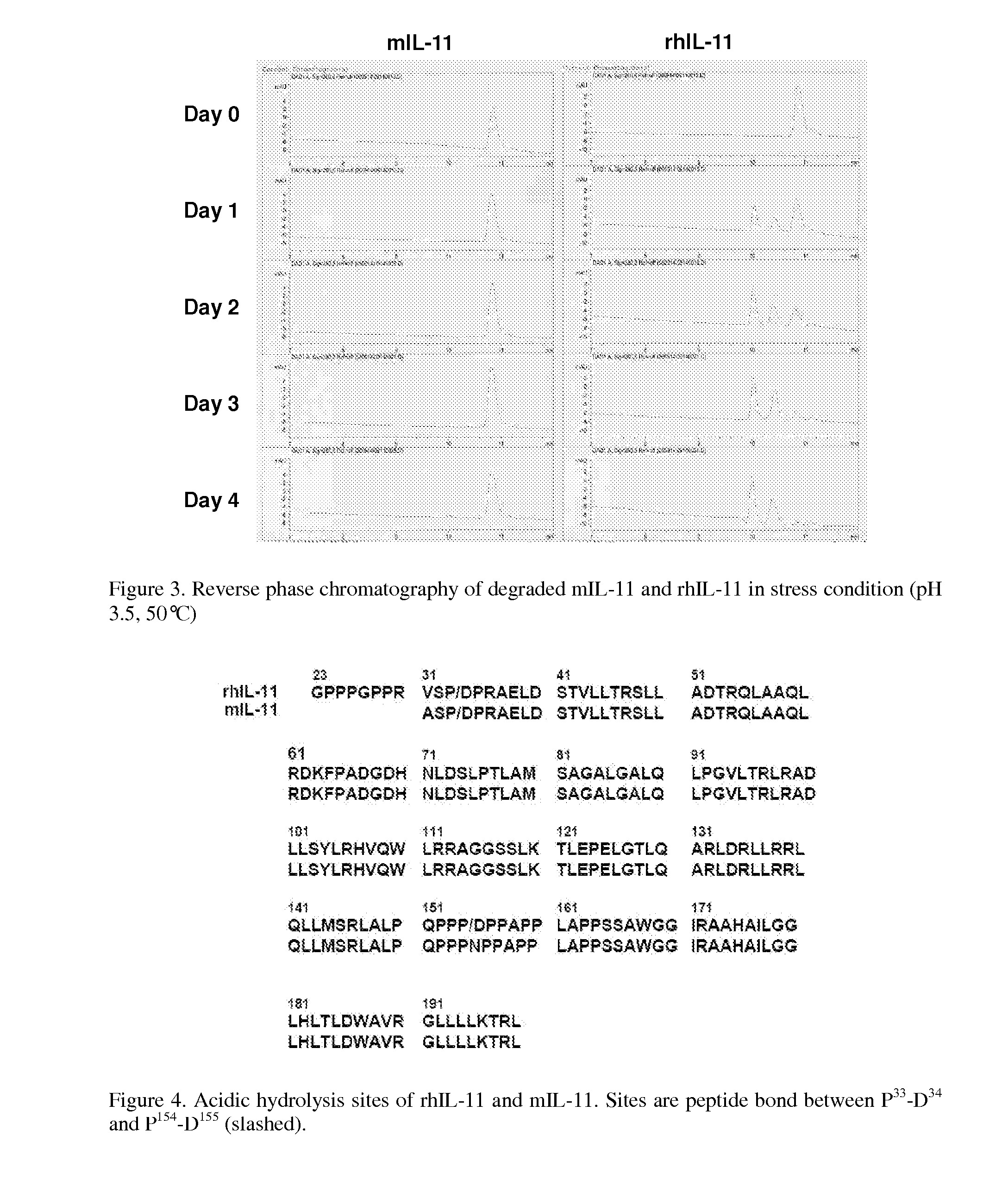 Biopolymer Conjugates Comprising an Interleukin-11 Analog