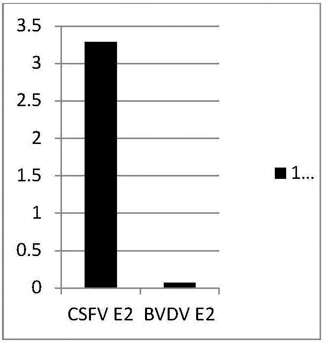 Cell strain of monoclonal antibodies of E2 protein resisting hog cholera virus and application thereof