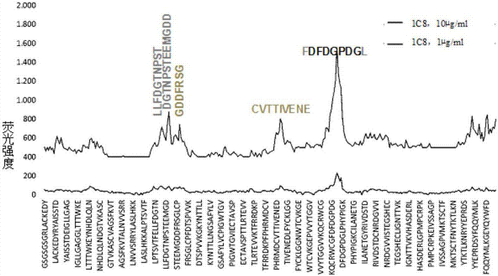 Cell strain of monoclonal antibodies of E2 protein resisting hog cholera virus and application thereof