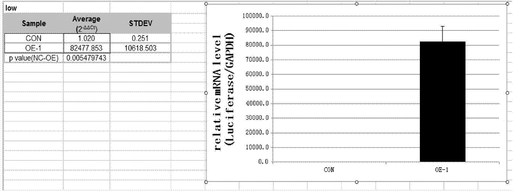 Method for detecting plasmids of polycyclic aromatic hydrocarbons in environment and application thereof