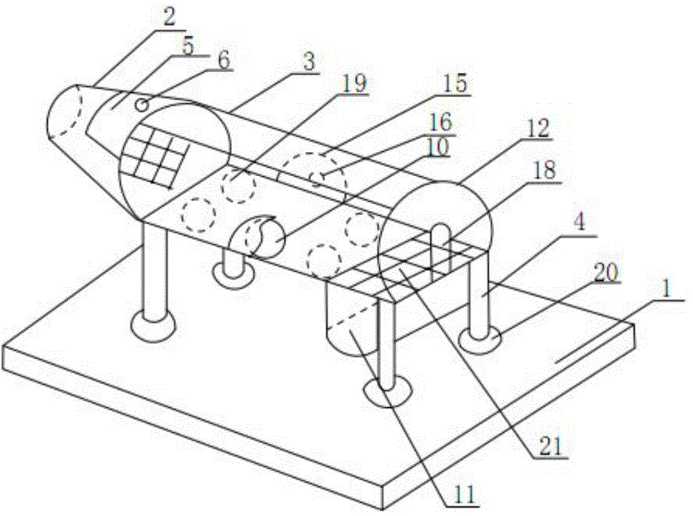 Rat fixator for acupuncture and moxibustion