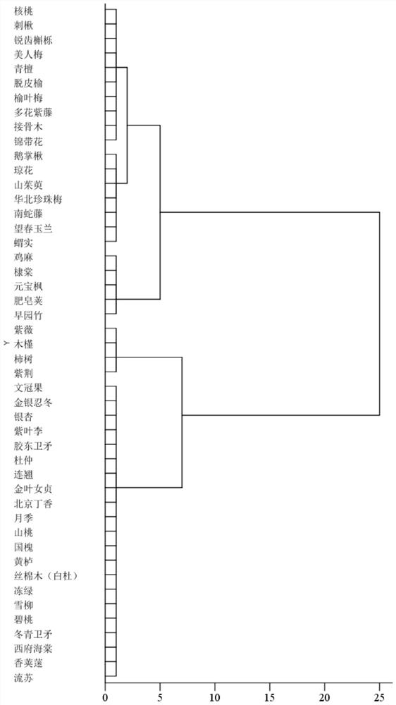 Urban green land species shade tolerance evaluation method and urban green land species selection method