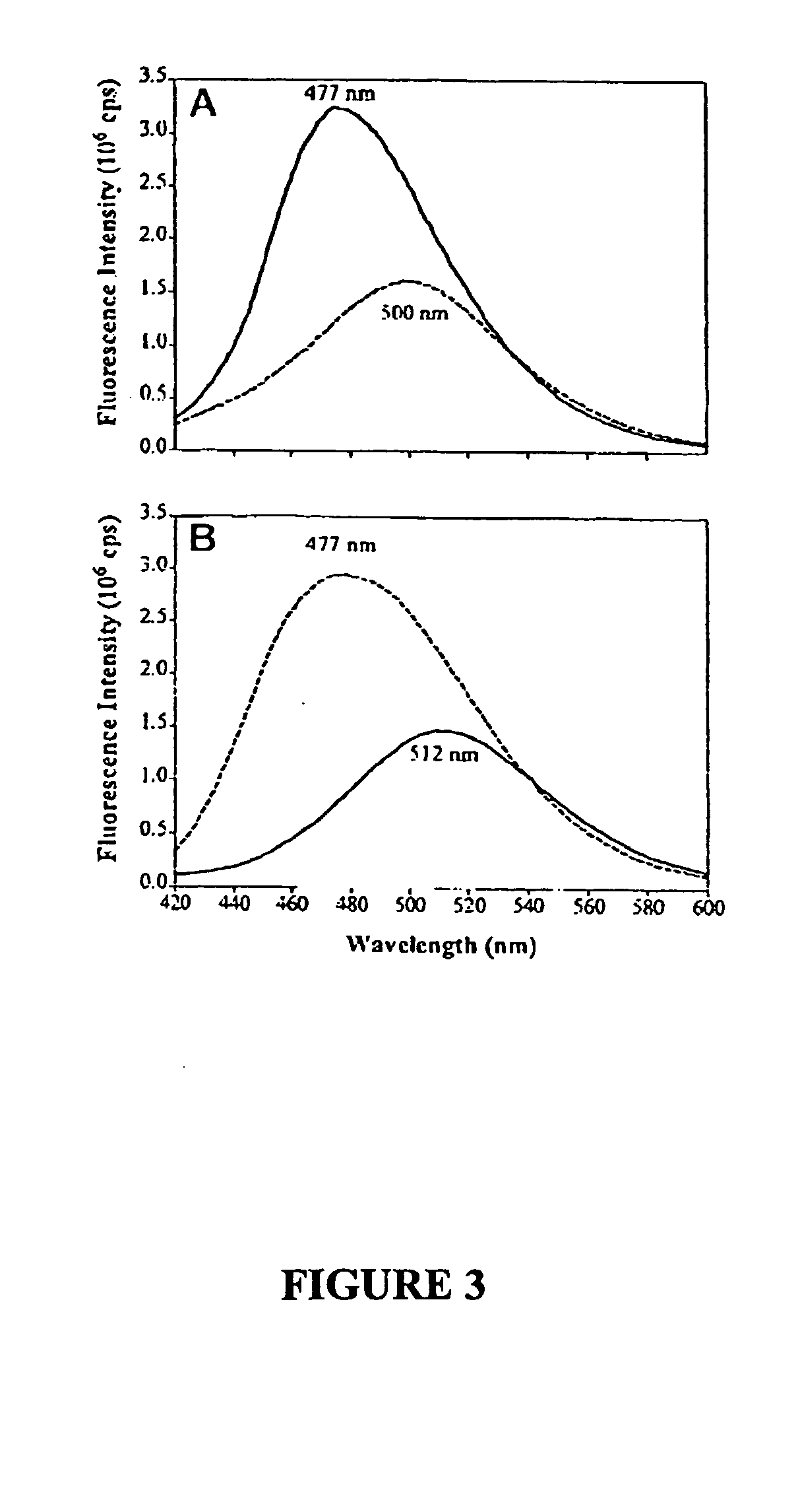 Ligand sensing fluorescent acetylcholinesterase for detection of organophosphate activity