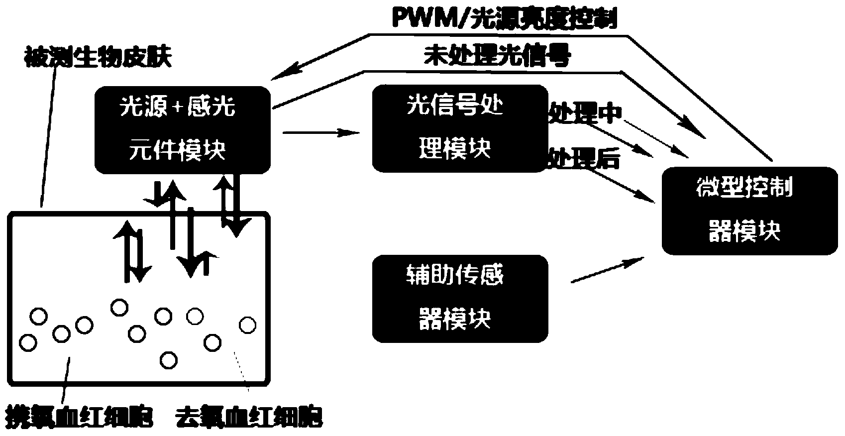 Heart rate measurement method and device