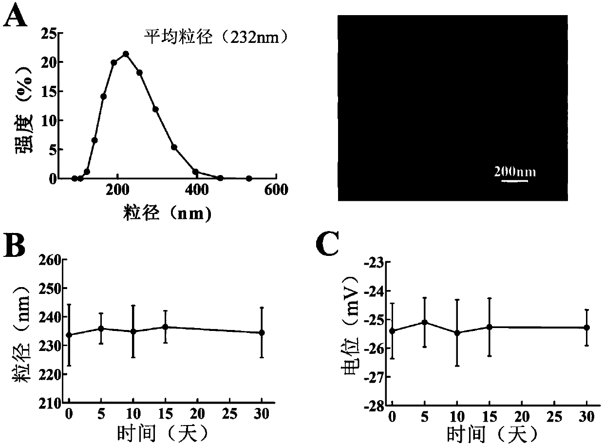 Tumor antigen loaded polydopamine nanoparticles, and preparation method and application thereof