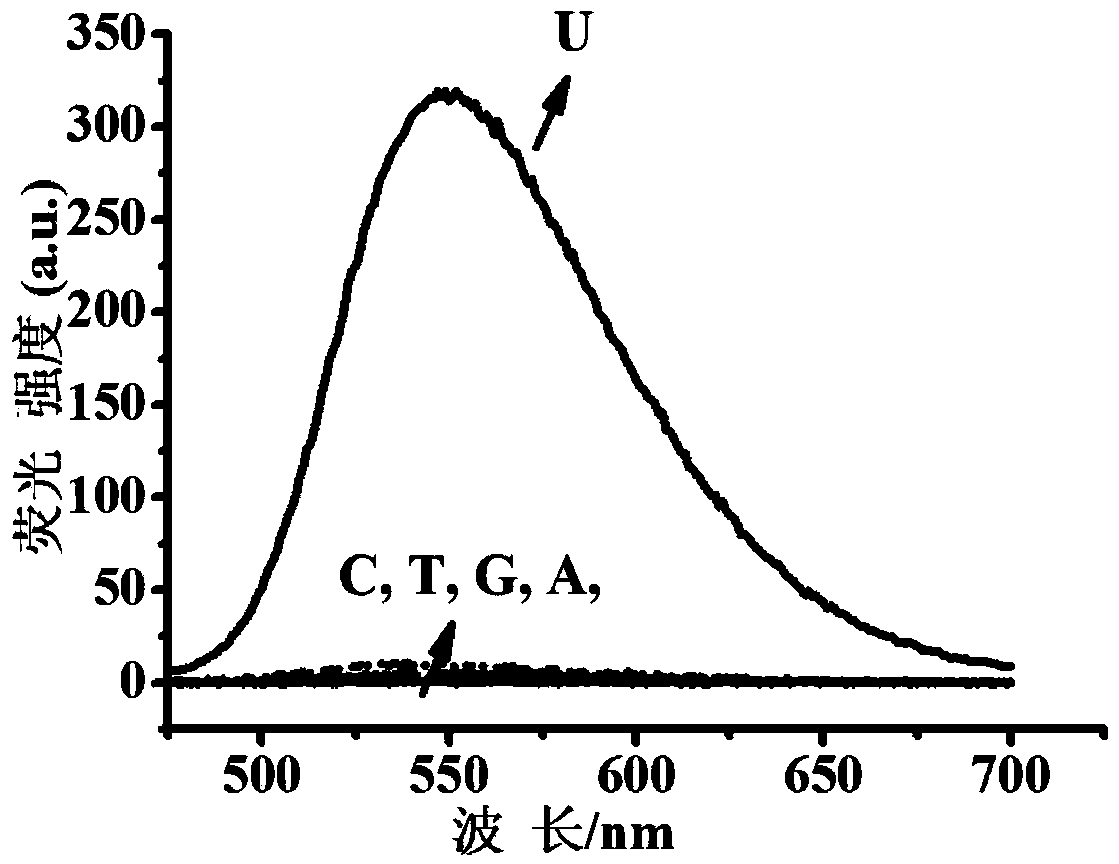 Fluorescent dye with nitrobenzimidazole as RNA (ribonucleic acid) recognition group as well as preparation method and application of fluorescent dye