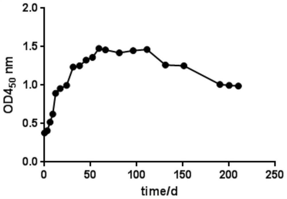 Bovine-derived A-type pasteurella multocida inactivated vaccine as well as preparation method and application thereof