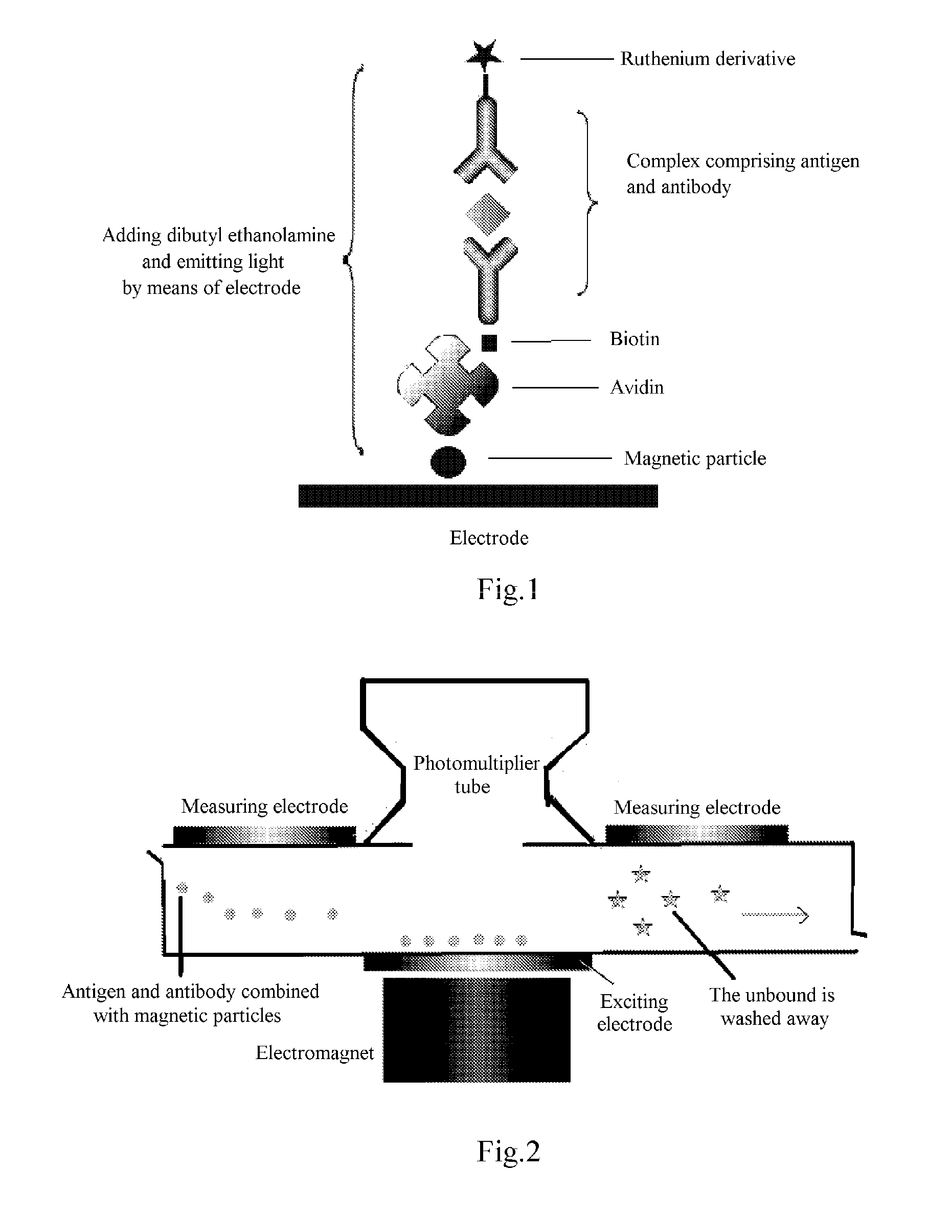 Electrochemiluminescence immunoassay method