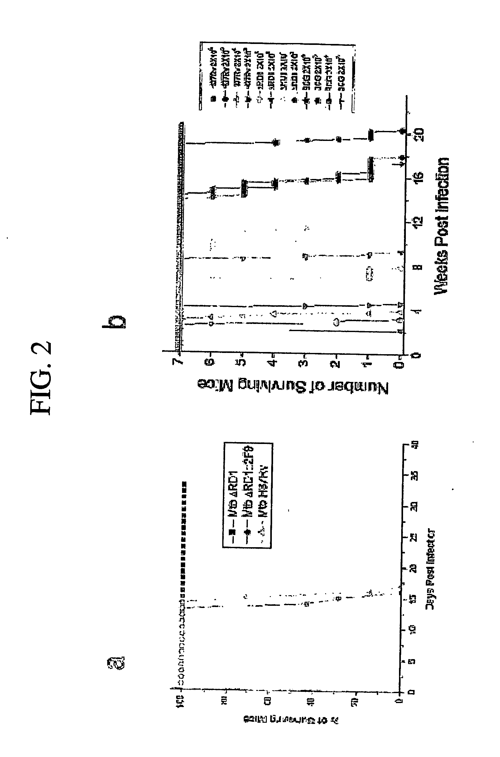 Use Of Mycrobacterial Vaccines In Cd4+ Or Cd8+ Lymphocyte-Deficient Mammals