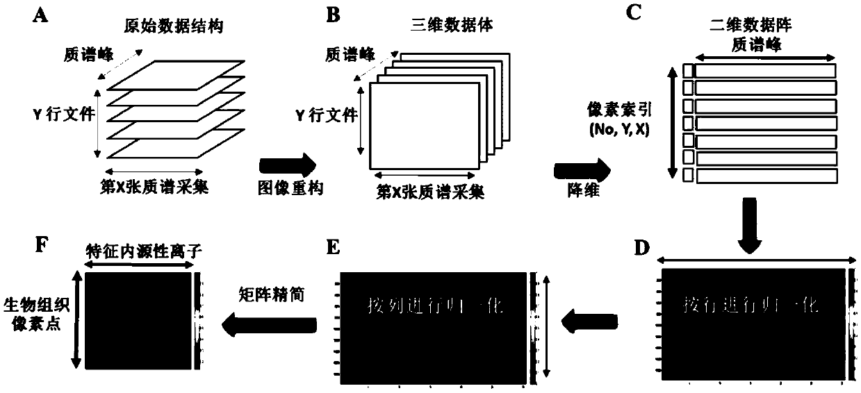 Ion strength virtual correction and quantitative mass spectrum imaging analysis method of in-vivo drugs