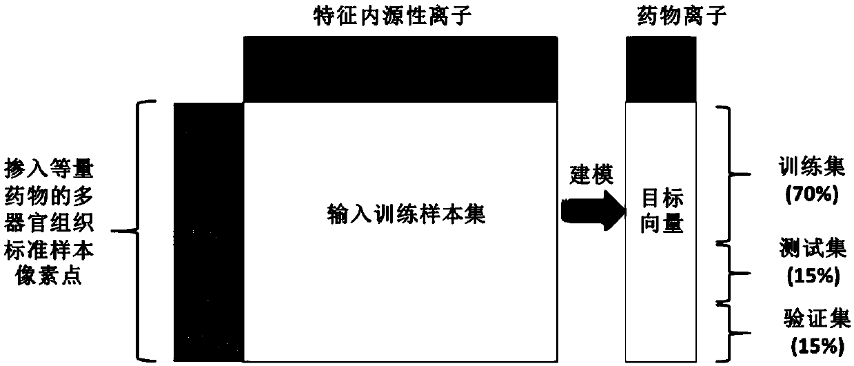 Ion strength virtual correction and quantitative mass spectrum imaging analysis method of in-vivo drugs