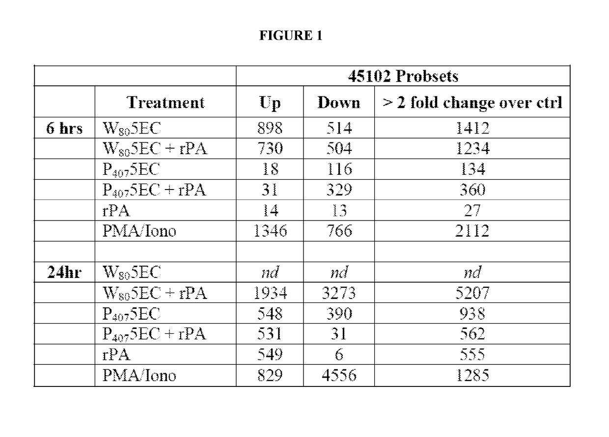 Cancer vaccine compositions and methods of using the same