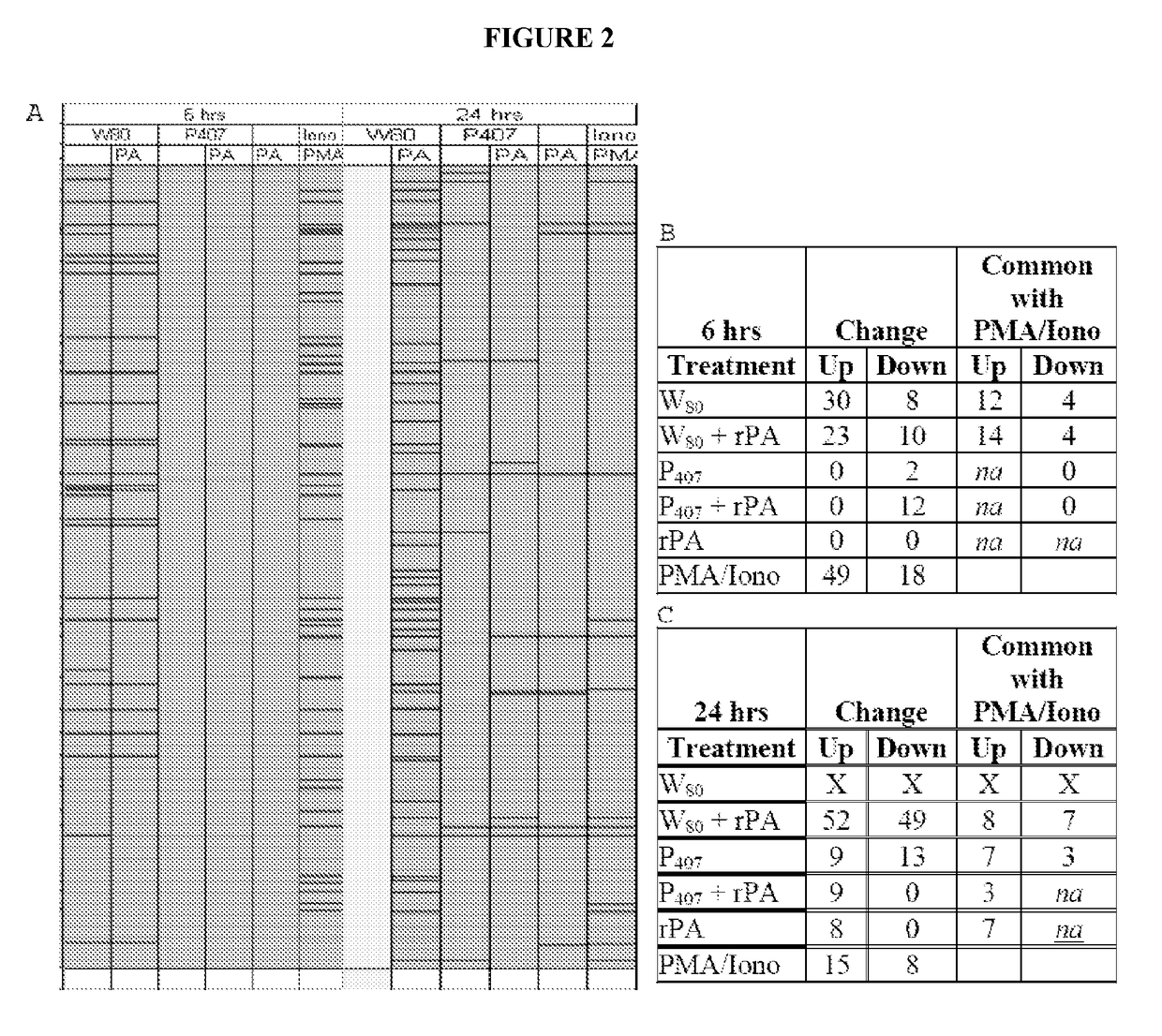 Cancer vaccine compositions and methods of using the same