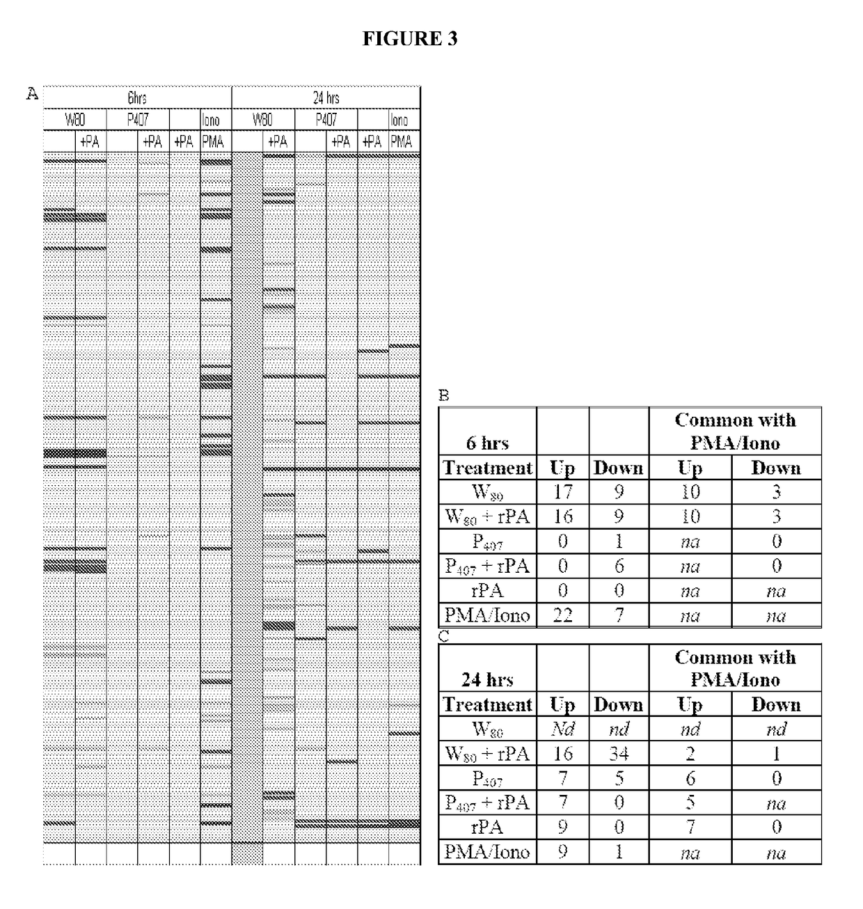 Cancer vaccine compositions and methods of using the same