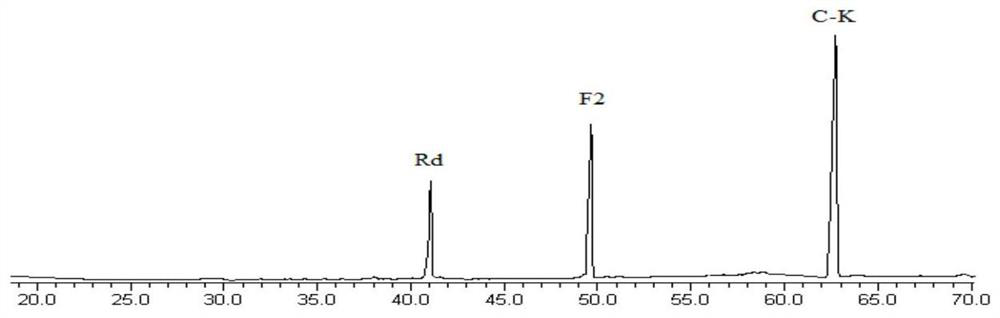 Method for preparing rare ginseng saponins by utilizing schizophyllum biotransformation ginsenosides