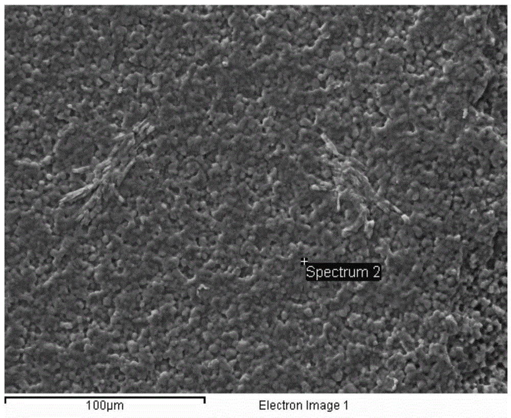 Copper pour use aluminum nitride substrate pretreatment method