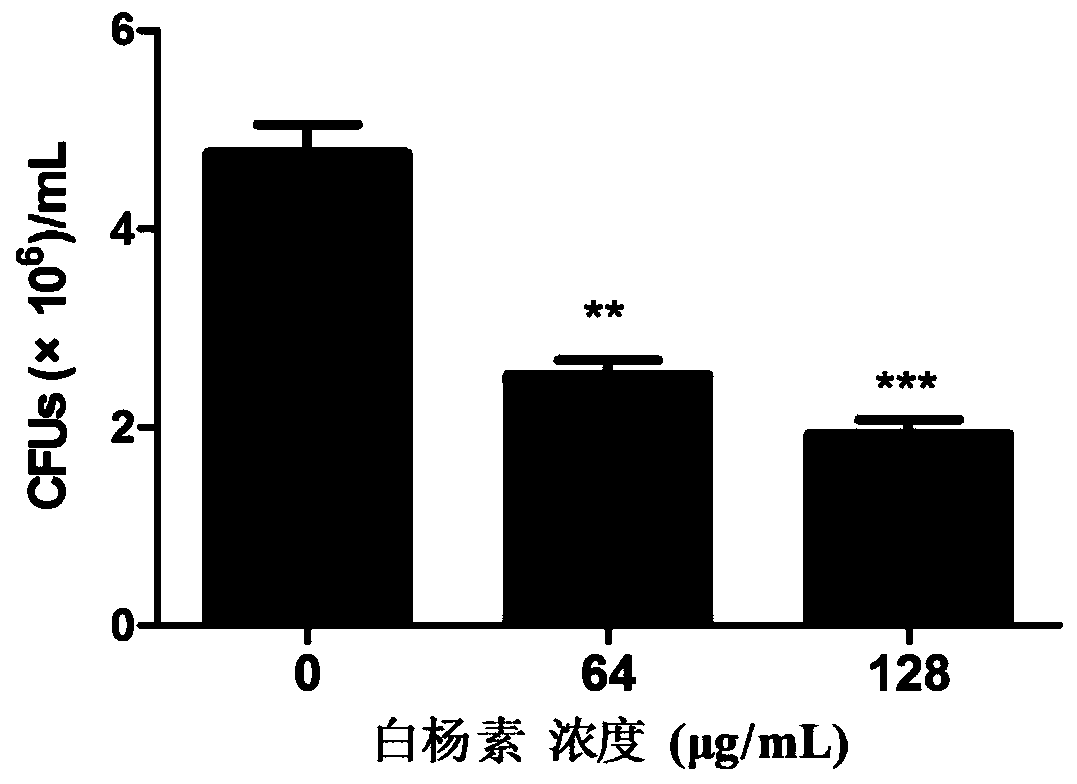 Application of chrysin to preparation of medicines for treating methicillin-resistant staphylococcus aureus infectious pneumonia