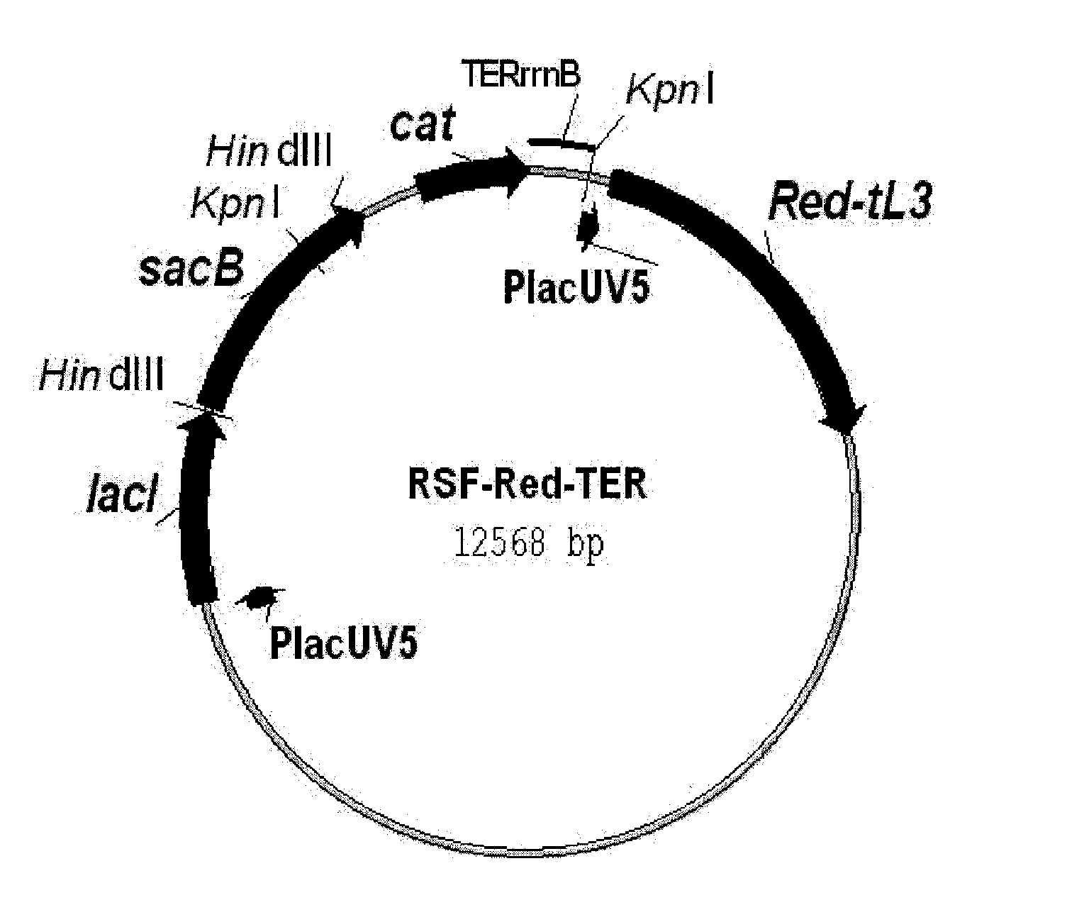 Method for producing an acidic substance having a carboxyl group