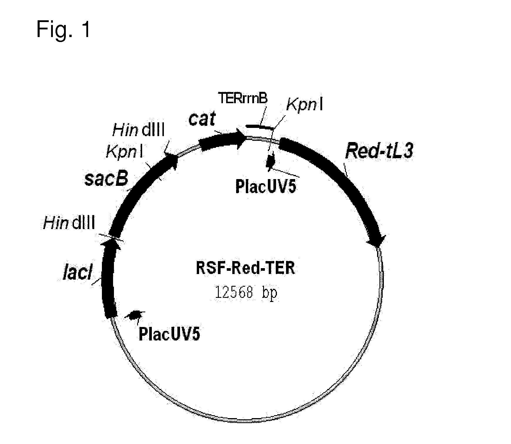 Method for producing an acidic substance having a carboxyl group