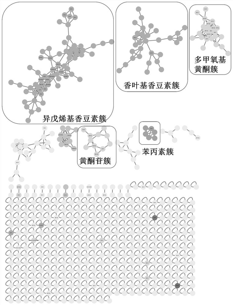 Fructus aurantii quality marker and screening method and application thereof