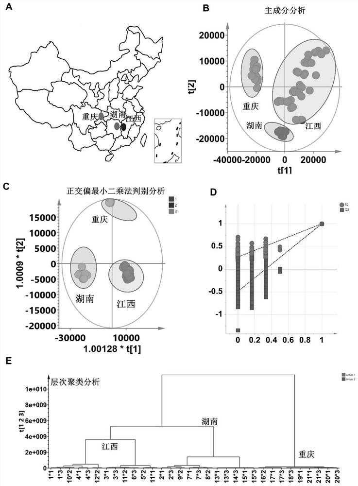 Fructus aurantii quality marker and screening method and application thereof