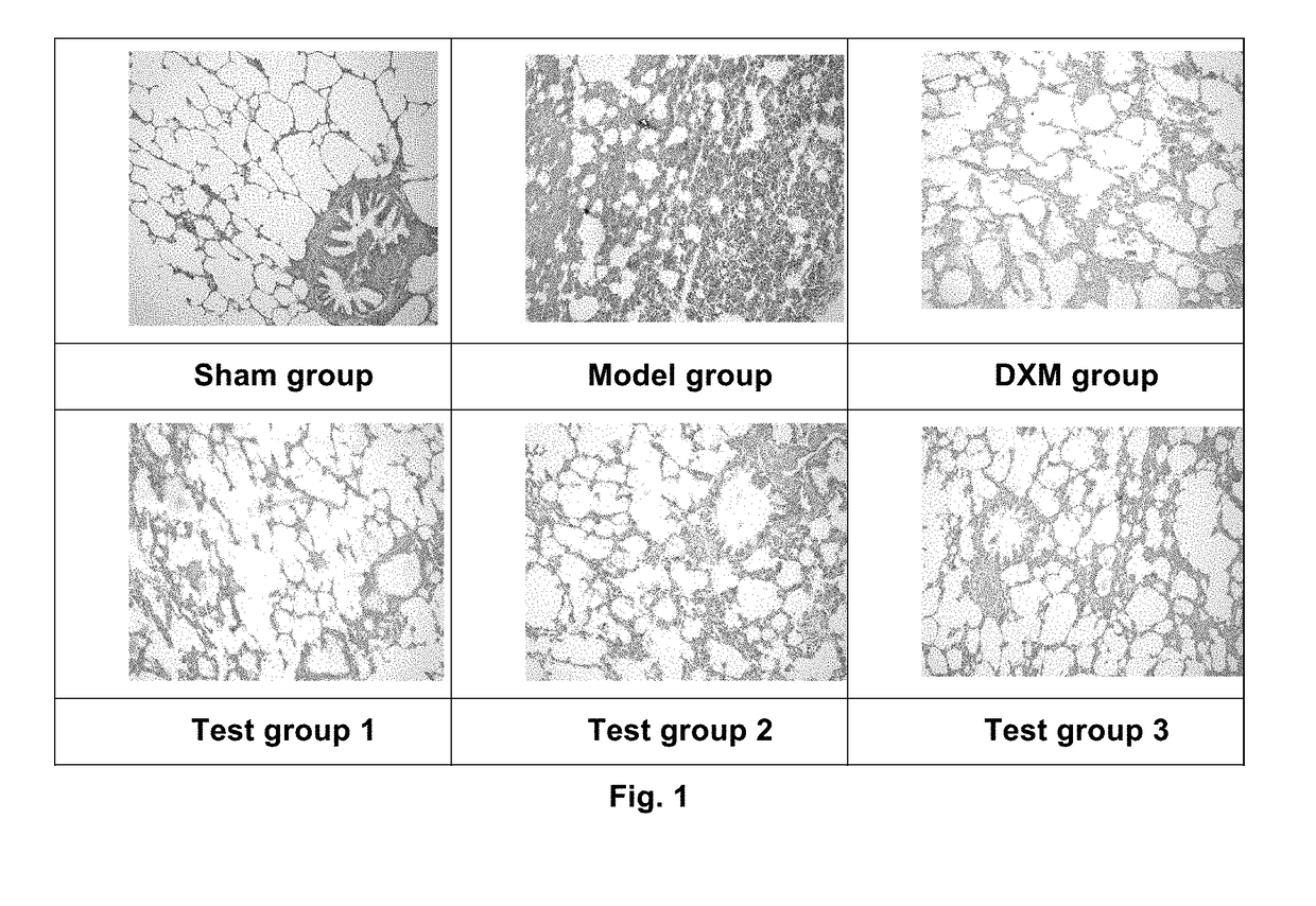 Pharmaceutical composition for treating respiratory disease