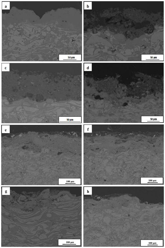 Hole sealing agent, preparation method and application thereof, coating film, preparation method of coating film and anti-corrosion product